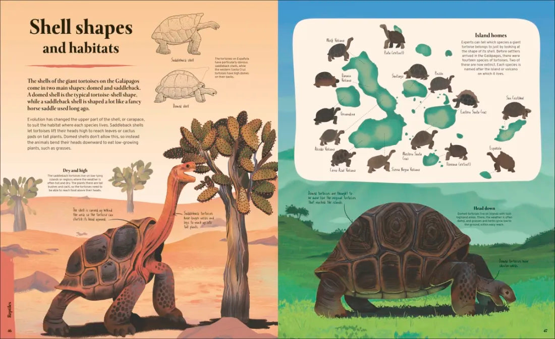 Galapagos US - Hardback