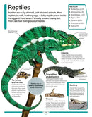 DK Children's Encyclopedia US - Hardback