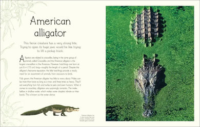 An Anthology of Aquatic Life US - Hardback