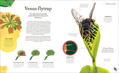 The Secret World of Plants US - Hardback