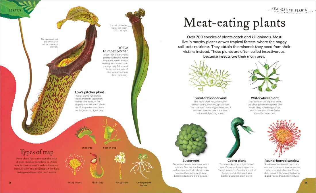 The Secret World of Plants US - Hardback