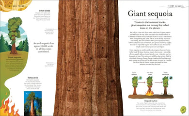 The Secret World of Plants US - Hardback