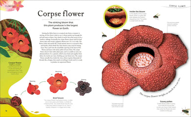 The Secret World of Plants US - Hardback