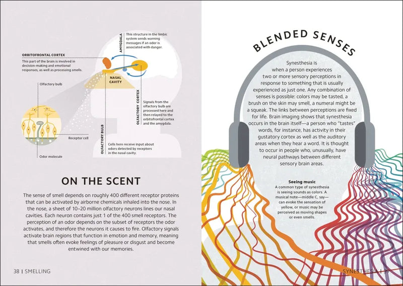 Simply The Brain US - Hardback