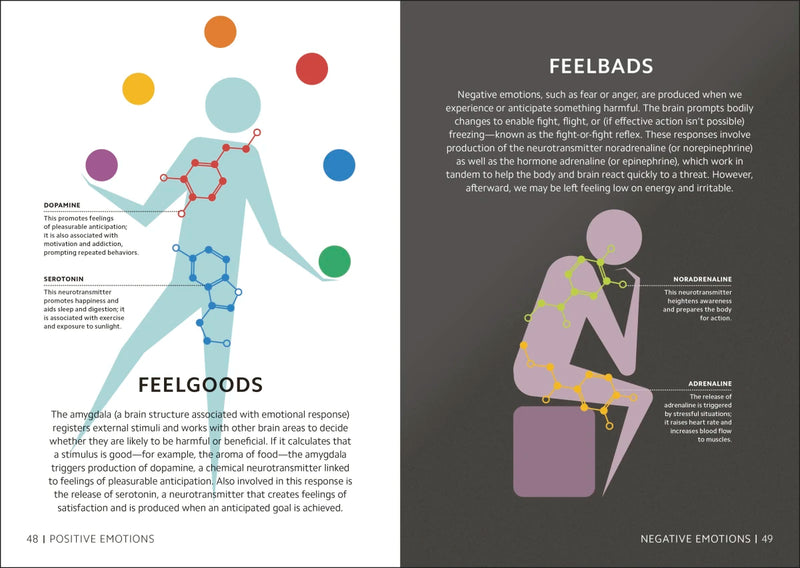 Simply The Brain US - Hardback