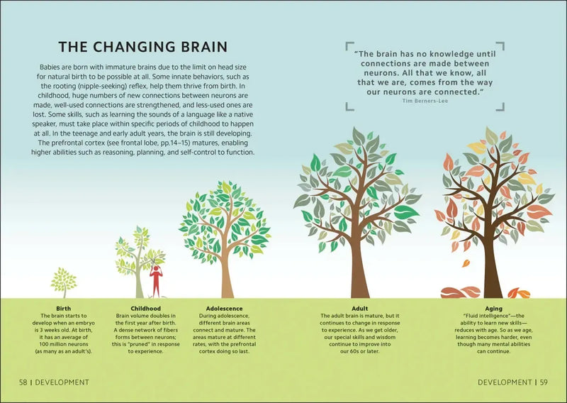 Simply The Brain US - Hardback