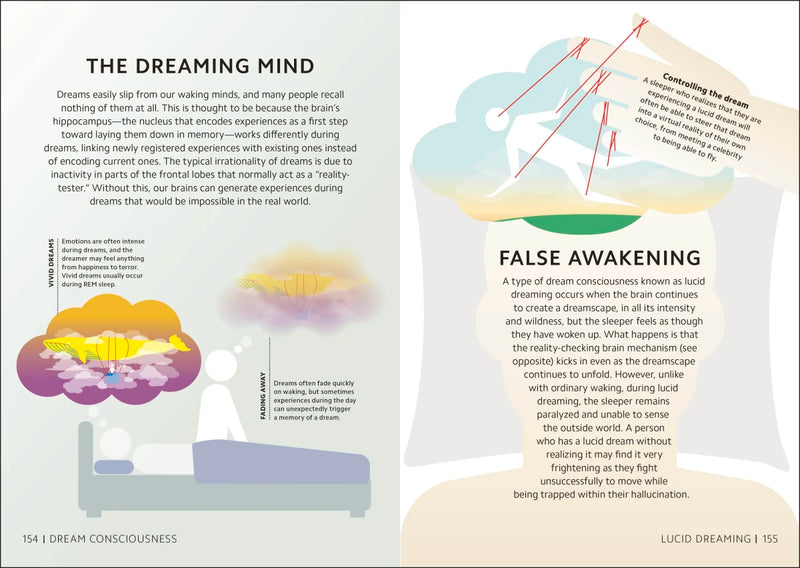 Simply The Brain US - Hardback