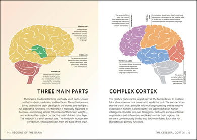 Simply The Brain US - Hardback