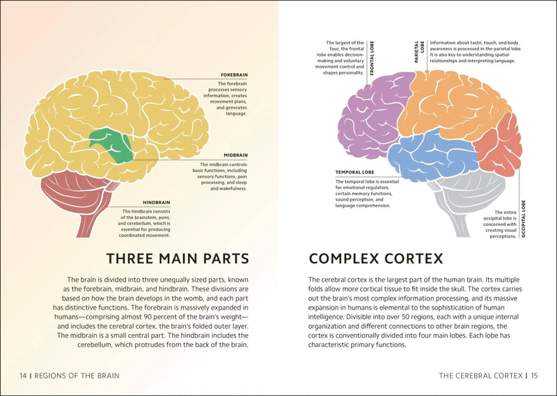 Simply The Brain US - Hardback