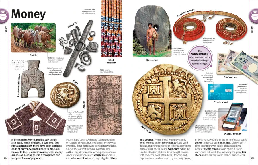Our World in Pictures US - Hardback