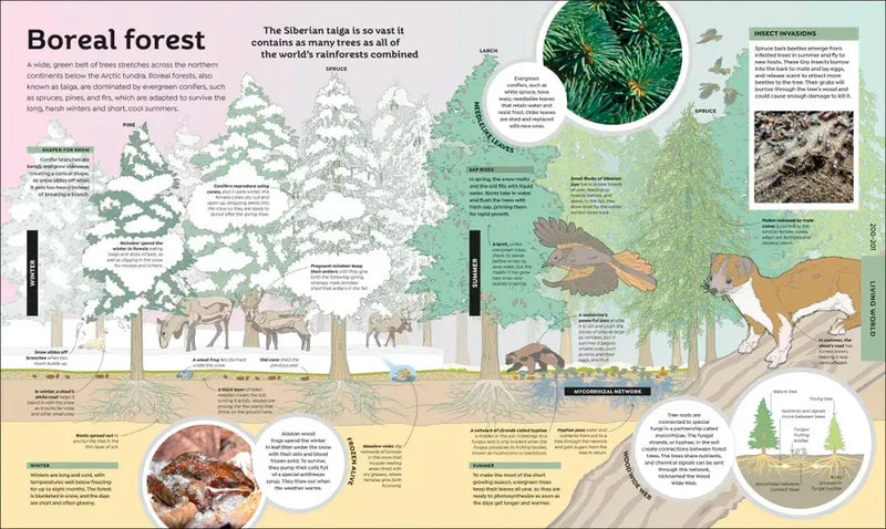 How Everything Works US - Hardback