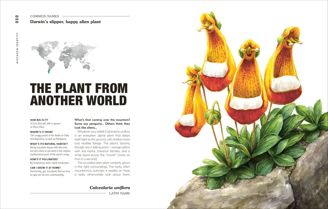 Hortus Curious US - Hardback