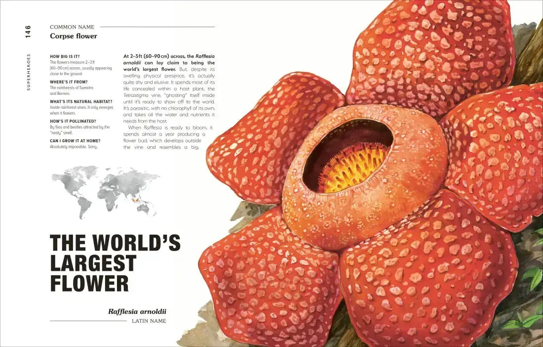 Hortus Curious US - Hardback
