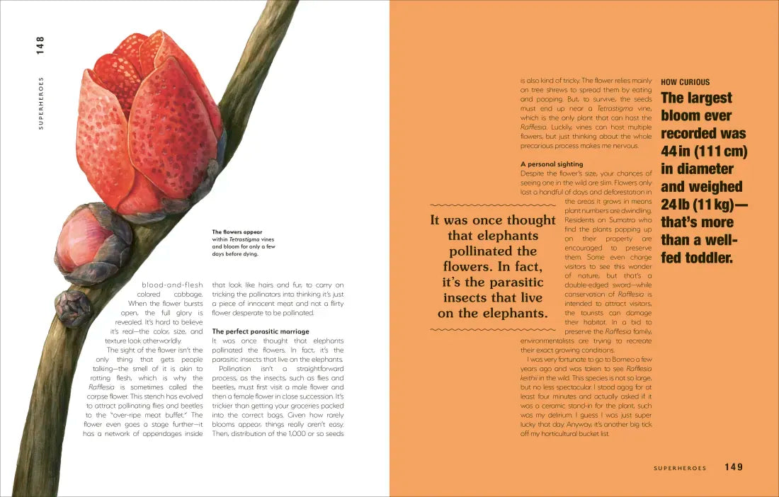 Hortus Curious US - Hardback
