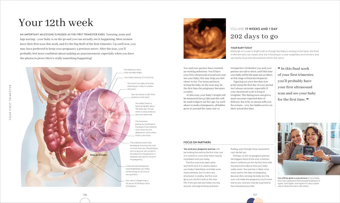 Pregnancy Day by Day US - Hardback