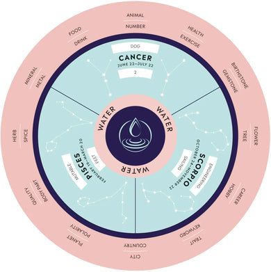 Parkers' Astrology US - Game
