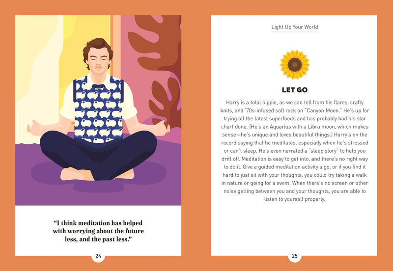 Be More Harry Styles US - Hardback