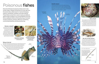 Eyewitness Fish US - Hardback