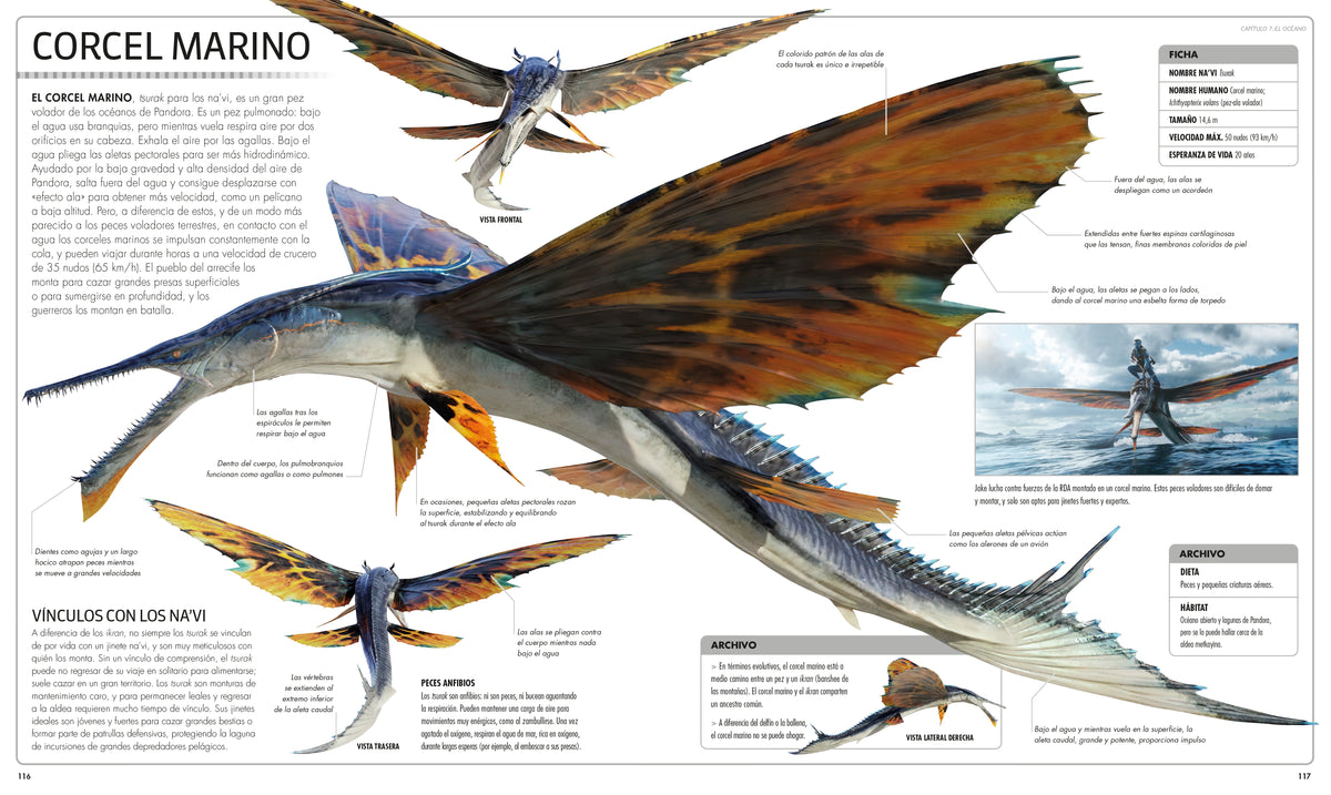 Avatar: El camino del agua. Diccionario visual (Avatar The Way of Water The Visual Dictionary) interior 4 (ISBN 9780744064285)