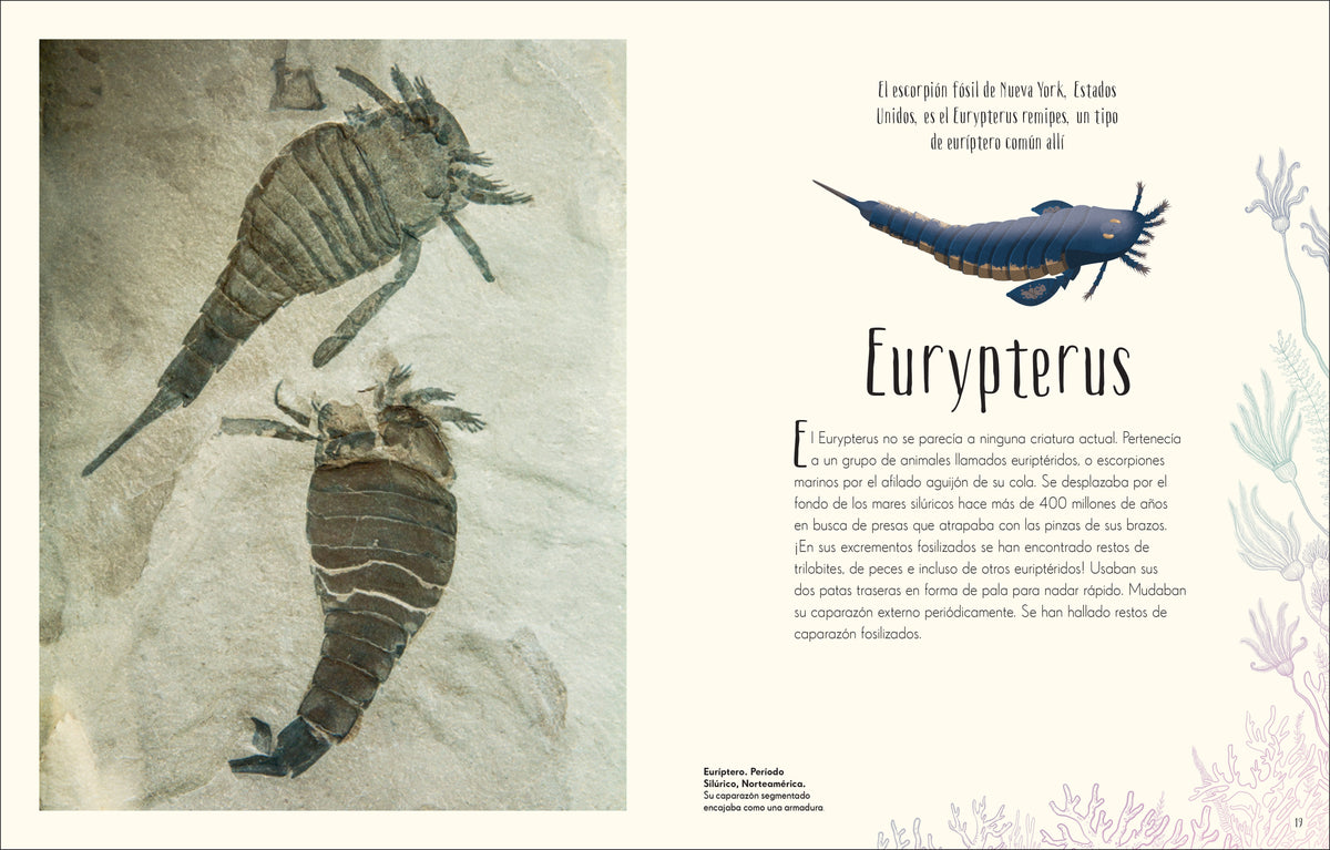 Antología de dinosaurios y vida prehistórica (Dinosaurs and Other Prehistoric Life) interior 1 (ISBN 9780744064391)