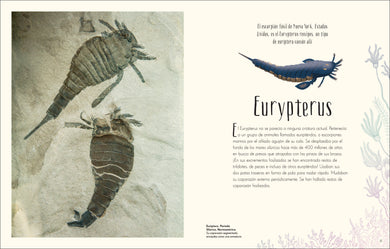 Antología de dinosaurios y vida prehistórica (Dinosaurs and Other Prehistoric Life) interior 1 (ISBN 9780744064391)