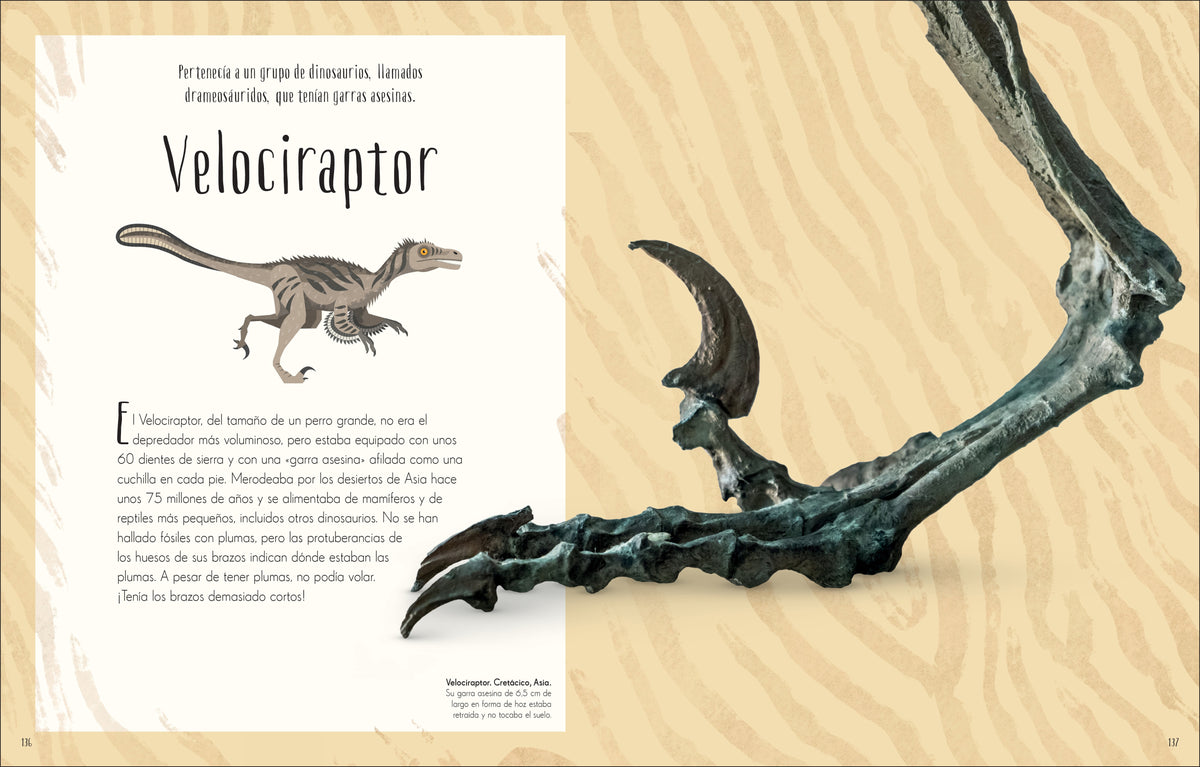 Antología de dinosaurios y vida prehistórica (Dinosaurs and Other Prehistoric Life) interior 6 (ISBN 9780744064391)