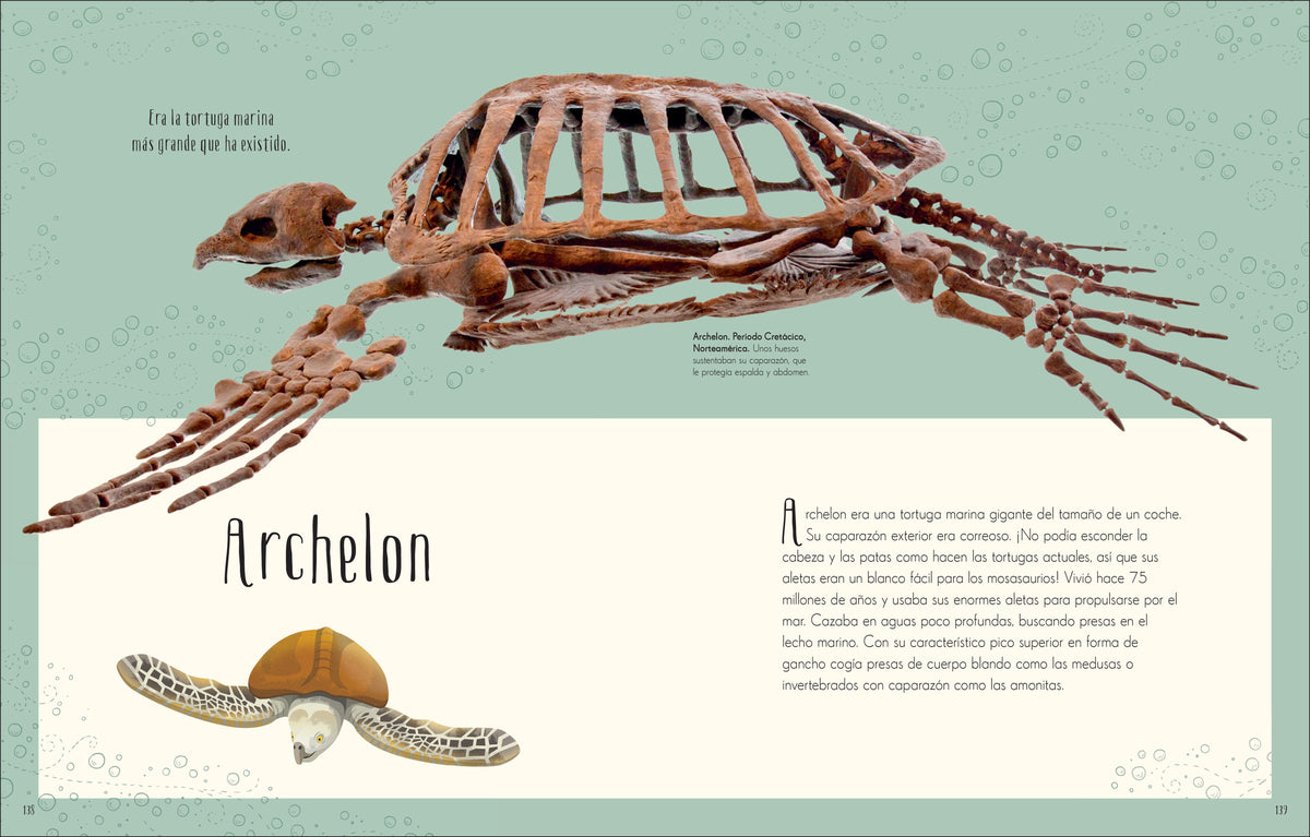 Antología de dinosaurios y vida prehistórica (Dinosaurs and Other Prehistoric Life) interior 7 (ISBN 9780744064391)