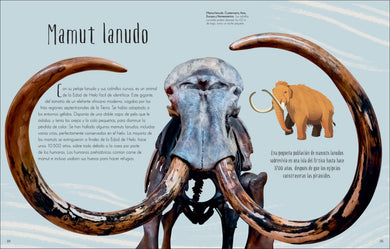 Antología de dinosaurios y vida prehistórica (Dinosaurs and Other Prehistoric Life) interior 8 (ISBN 9780744064391)