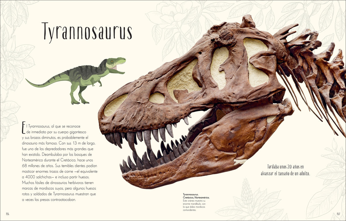 Antología de dinosaurios y vida prehistórica (Dinosaurs and Other Prehistoric Life) interior 9 (ISBN 9780744064391)