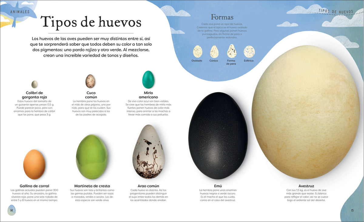Tesoros de la naturaleza (Nature's Treasures) interior 2 (ISBN 9780744064414)