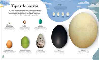 Tesoros de la naturaleza (Nature's Treasures) interior 2 (ISBN 9780744064414)
