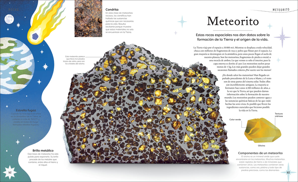 Tesoros de la naturaleza (Nature's Treasures) interior 6 (ISBN 9780744064414)