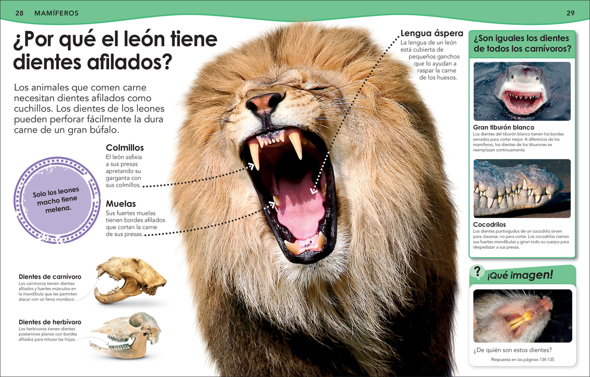 ¿Sabías qué? Animales (Did You Know? Animals) interior 1 (ISBN 9780744064513)