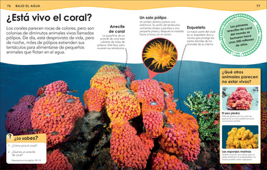 ¿Sabías qué? Animales (Did You Know? Animals) interior 3 (ISBN 9780744064513)