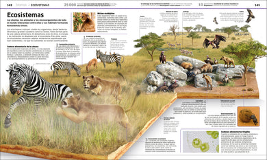 Planeta tierra (Knowledge Encyclopedia Planet Earth!) interior 5 (ISBN 9780744064612)
