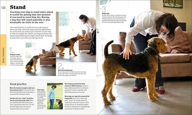 The Beginner's Dog Training Guide US - Paperback / softback