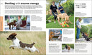 The Beginner's Dog Training Guide US - Paperback / softback