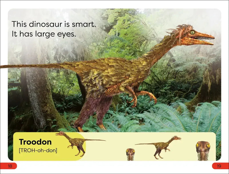 DK Super Readers Pre-Level Meet the Dinosaurs US - Paperback / softback