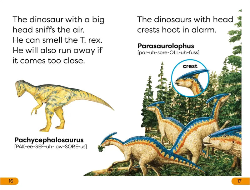 DK Super Readers Level 1 Dinosaur's Day US - Hardback