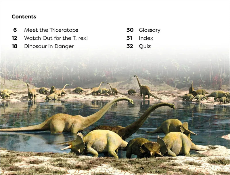 DK Super Readers Level 1 Dinosaur's Day US - Hardback