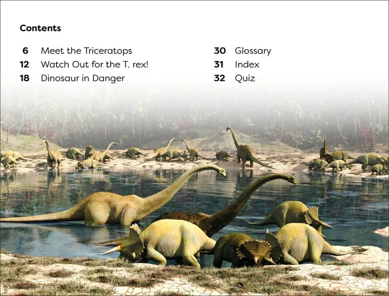 DK Super Readers Level 1 Dinosaur's Day US - Paperback / softback