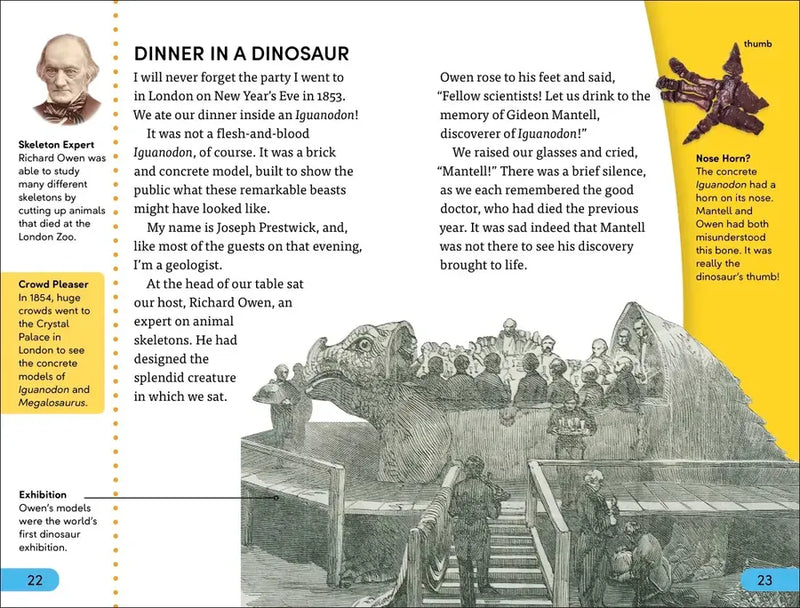 DK Super Readers Level 4 Dinosaur Detectives US - Hardback