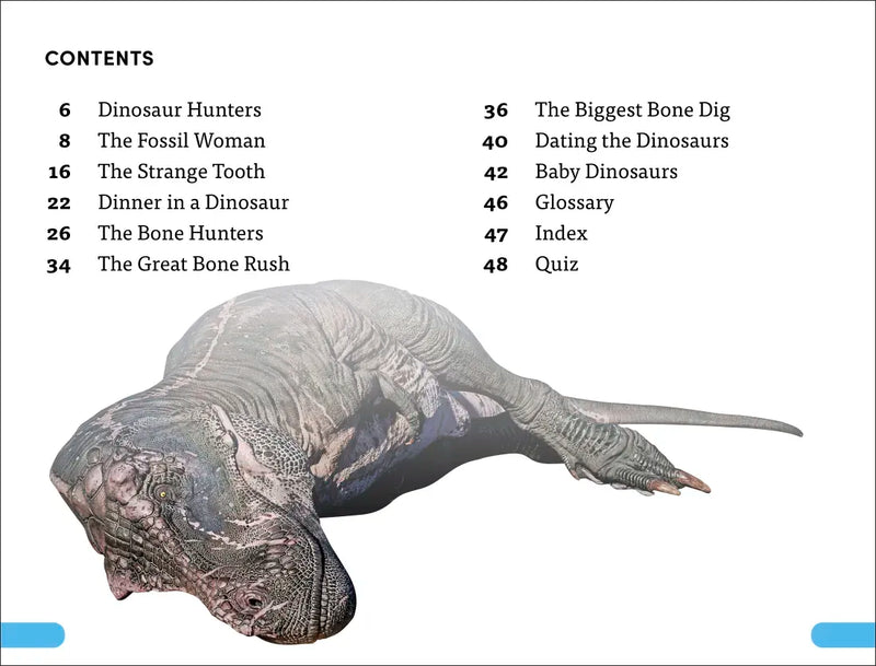 DK Super Readers Level 4 Dinosaur Detectives US - Hardback