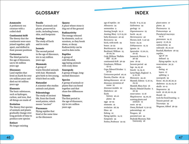 DK Super Readers Level 4 Dinosaur Detectives US - Paperback / softback