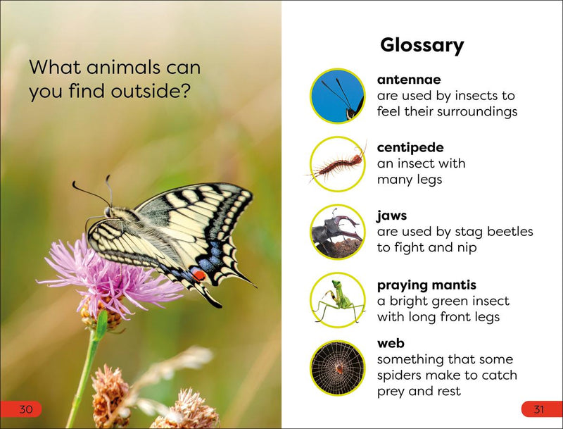 DK Super Readers Pre-Level Garden Friends US - Paperback / softback