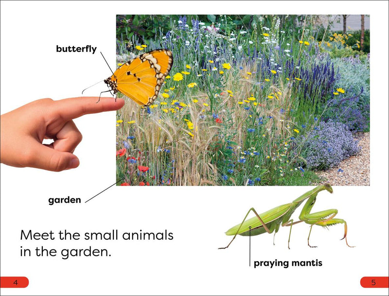 DK Super Readers Pre-Level Garden Friends US - Paperback / softback