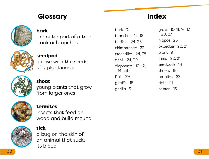 DK Super Readers Level 1 Animal Feeding Time US - Hardback