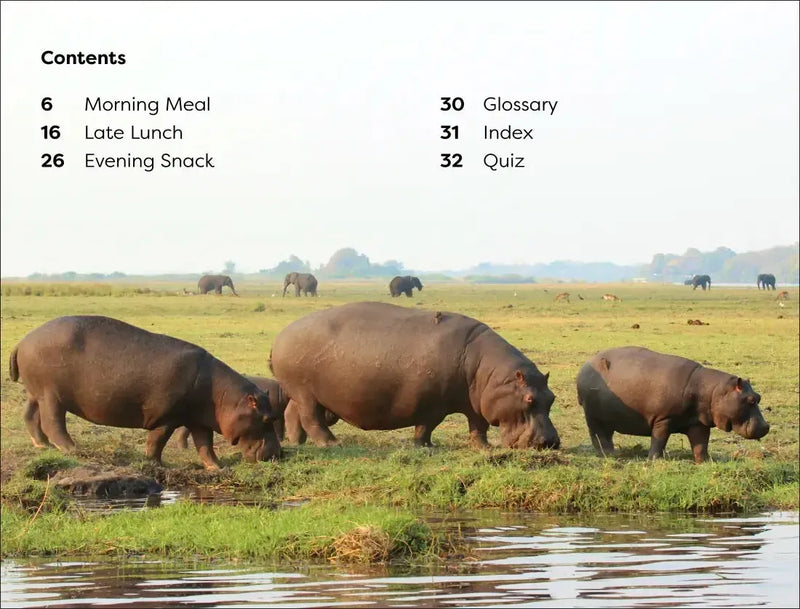 DK Super Readers Level 1 Animal Feeding Time US - Paperback / softback