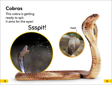 DK Super Readers Level 2 Snakes Slither and Hiss US - Paperback / softback