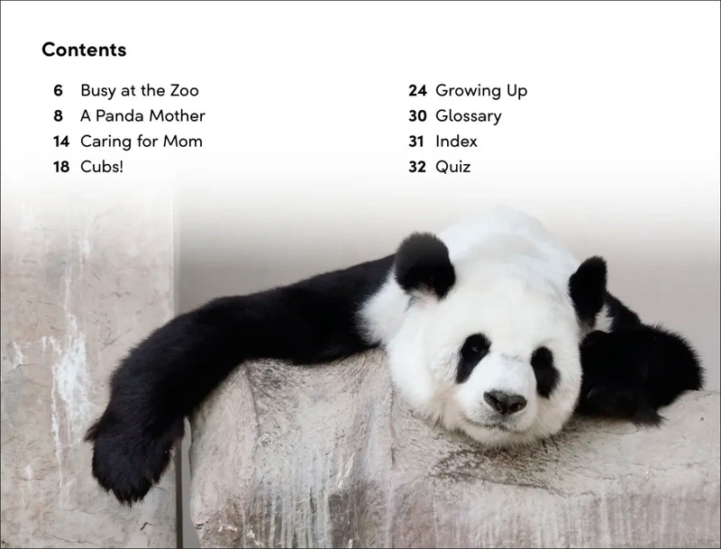 DK Super Readers Level 2 The Great Panda Tale US - Hardback